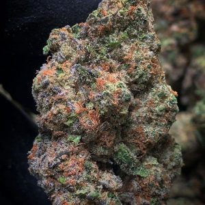 Purple Haze Weed