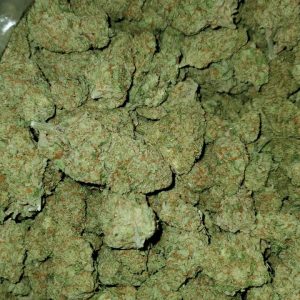 Buy Captain Crunch Strain Online