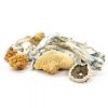 Buy Blue Meanies Mushrooms online