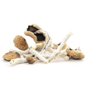 Buy Magic mushrooms Online